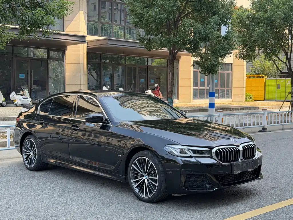 BMW 5 Series — миниатюра 3