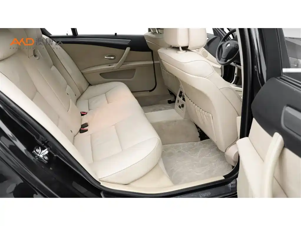 BMW 5 Series 5 2009 520Li Lead