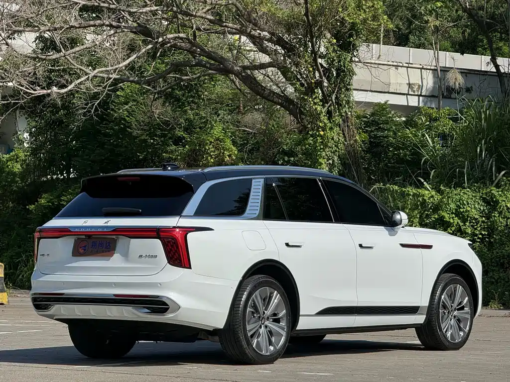 Hongqi Hongqi E-HS9 — миниатюра 8