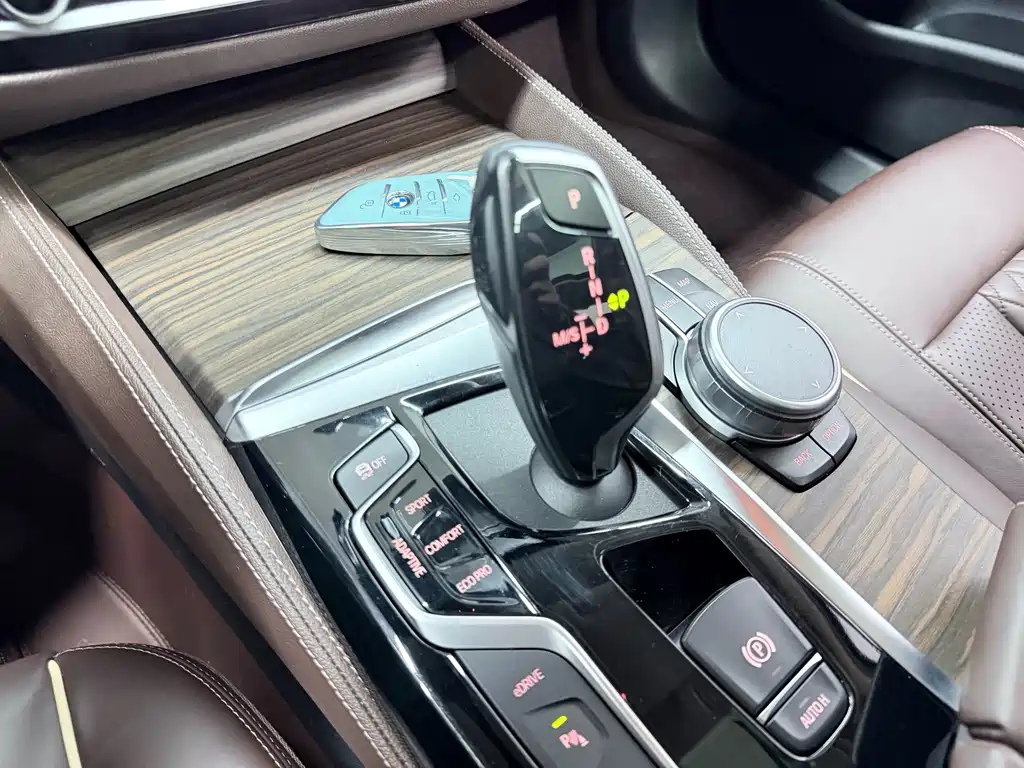 BMW 5 SERIES NEW ENERGY