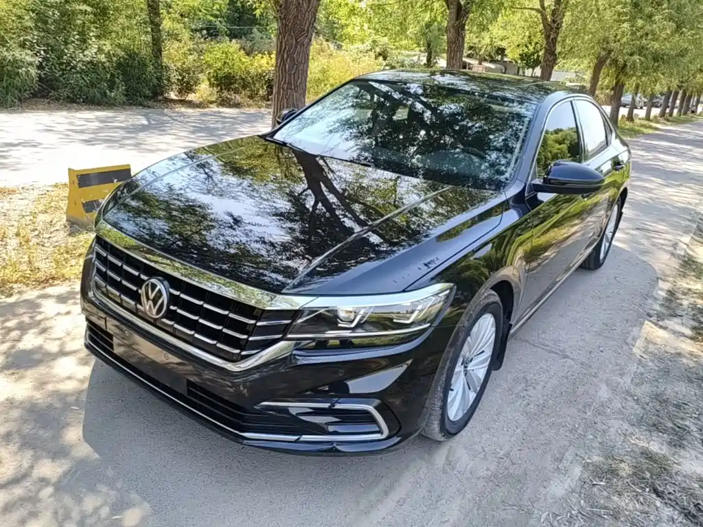 Volkswagen Passat — миниатюра 2
