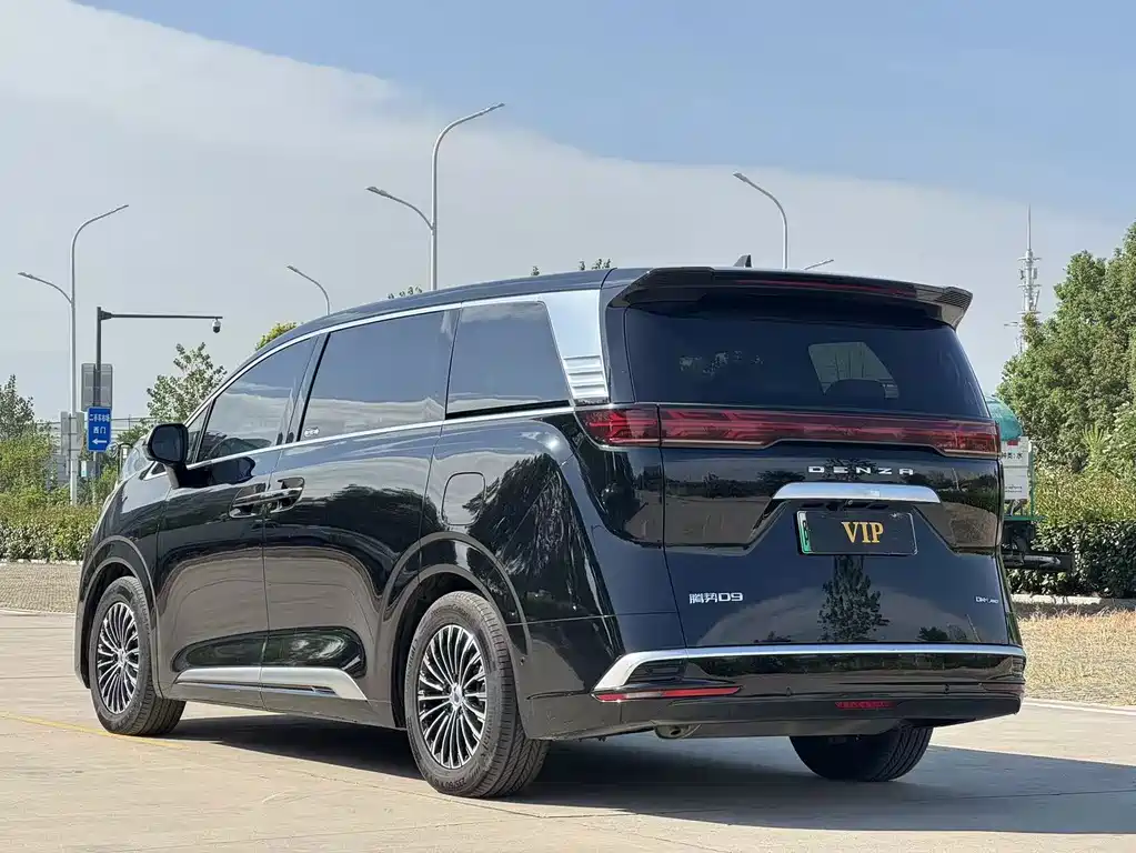 Denza Denza D9 — миниатюра 7