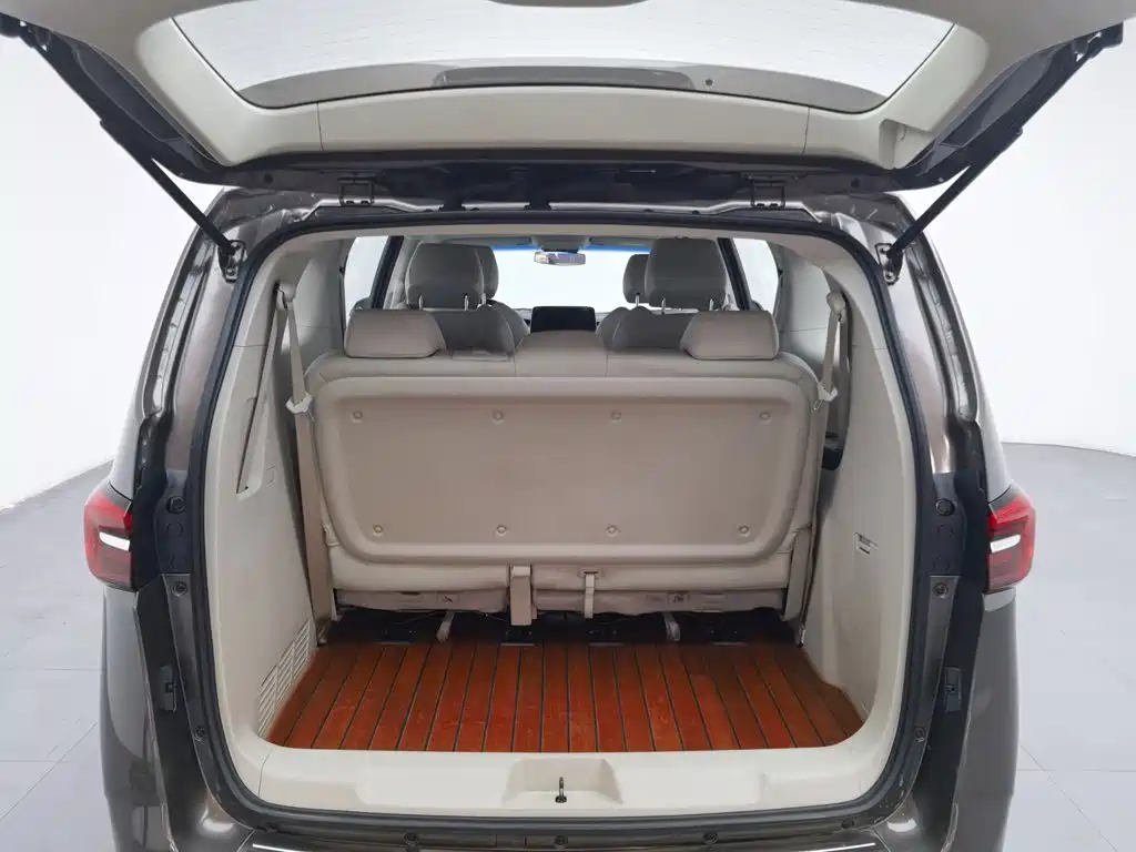 Buick GL8 — миниатюра 16