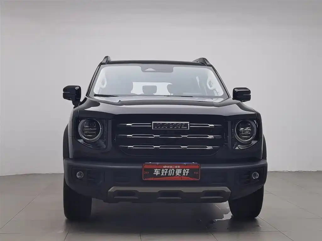 HAVAL BIG DOG