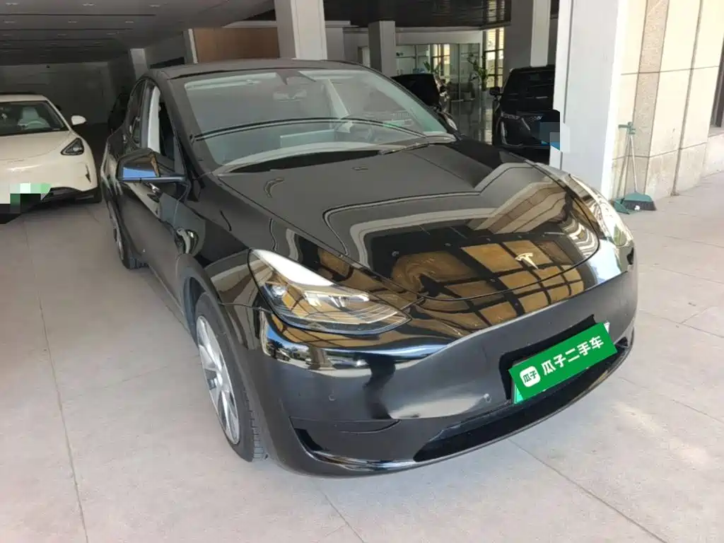 Tesla Model Y — миниатюра 4