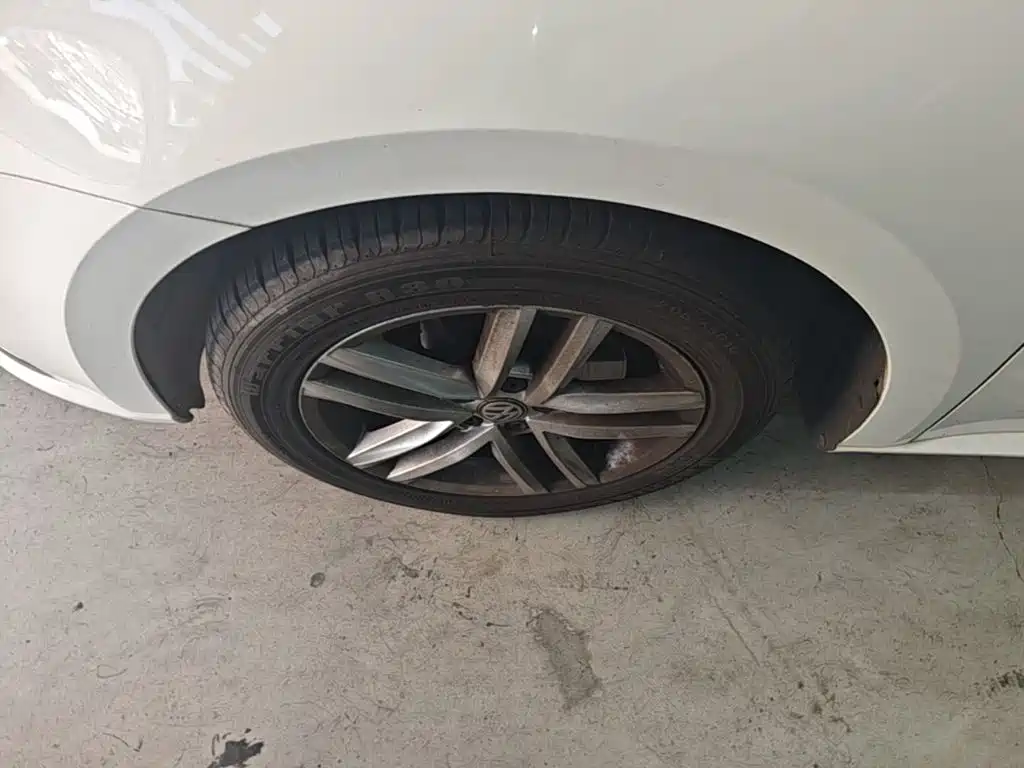 Volkswagen Gran Lavida — миниатюра 23
