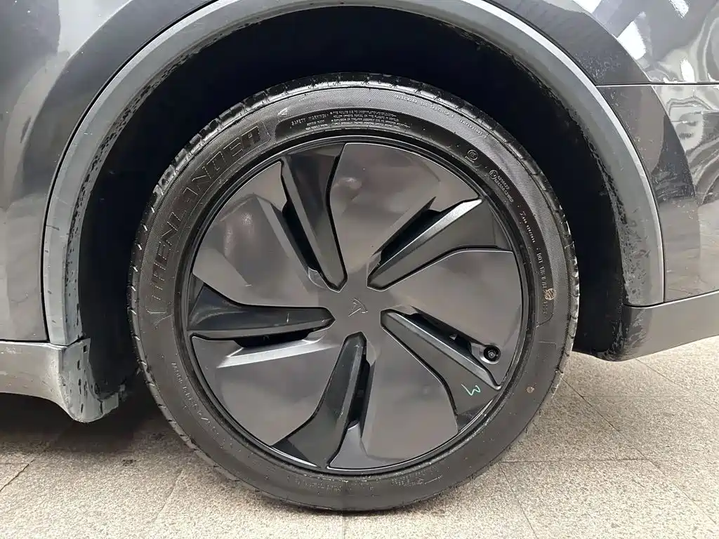 Tesla Model Y — миниатюра 5