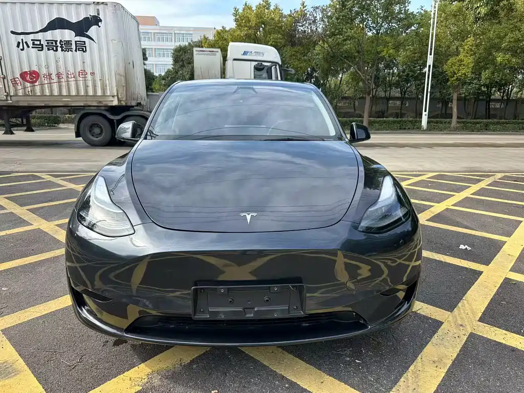Tesla Model Y — миниатюра 2