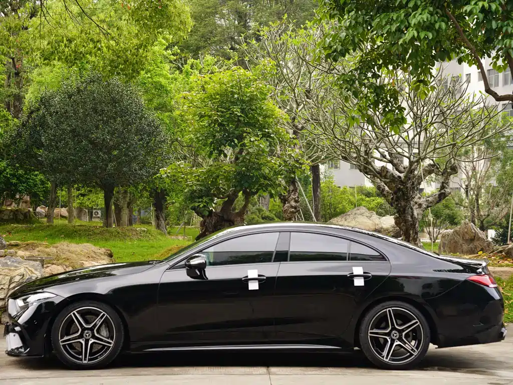 Mercedes-Benz CLS 2021 CLS 300 Luxury
