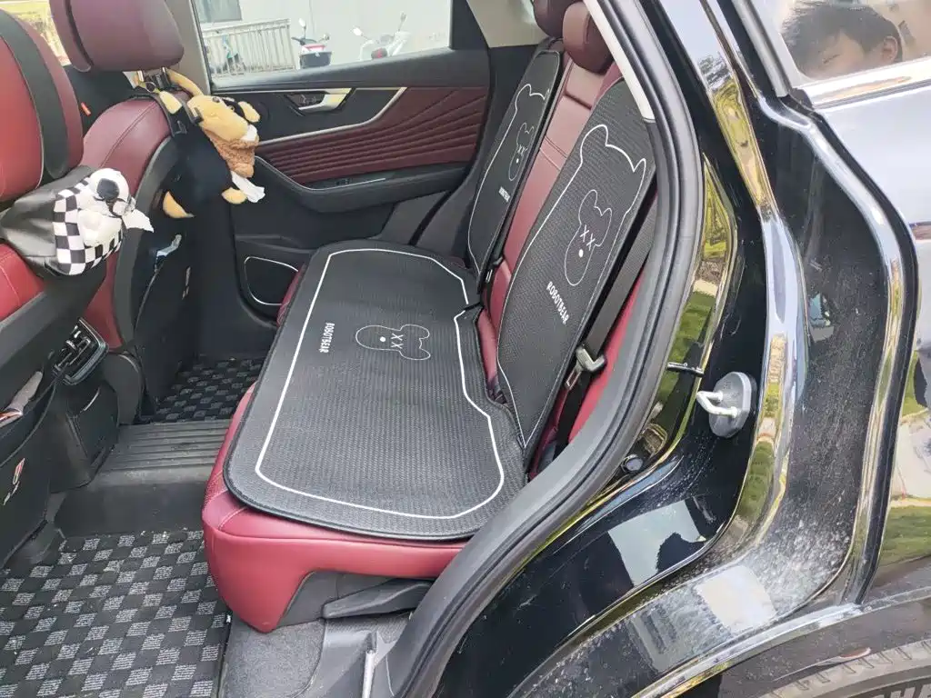 Hongqi Hongqi HS5 — миниатюра 18