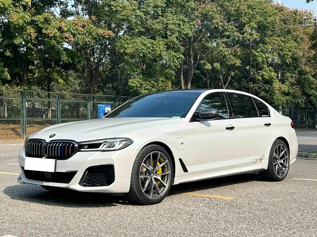 BMW 5 Series New Energy 2021