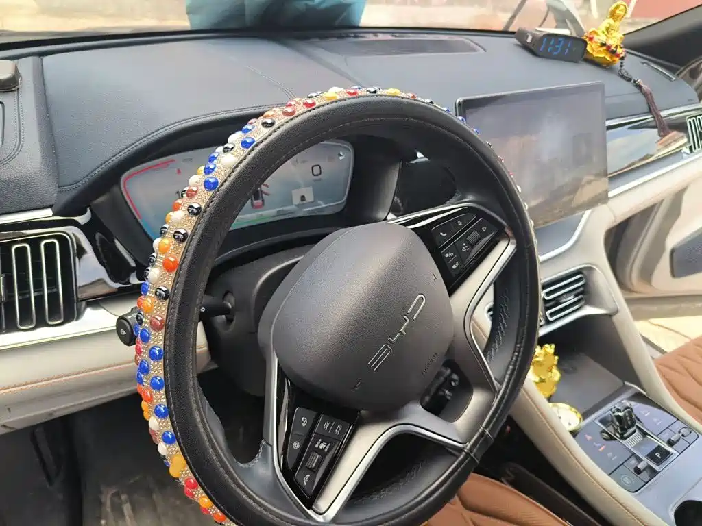 BYD PLUS New Energy — миниатюра 19