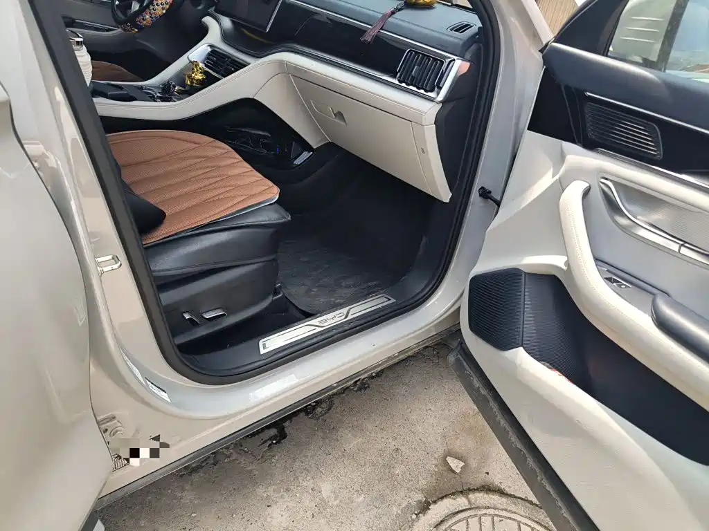 BYD PLUS New Energy — миниатюра 18