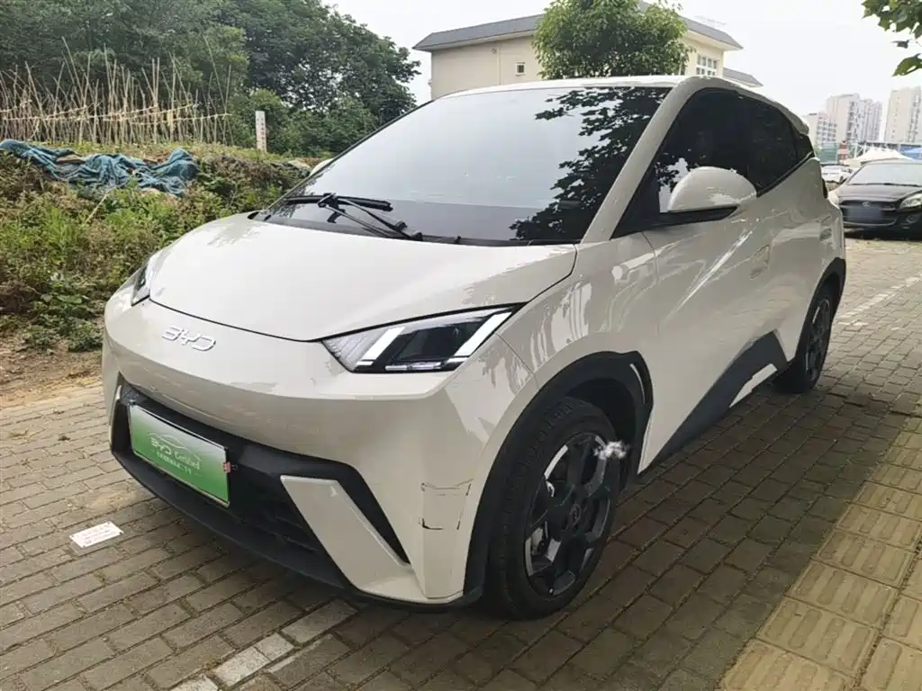 Byd Seagull 2024