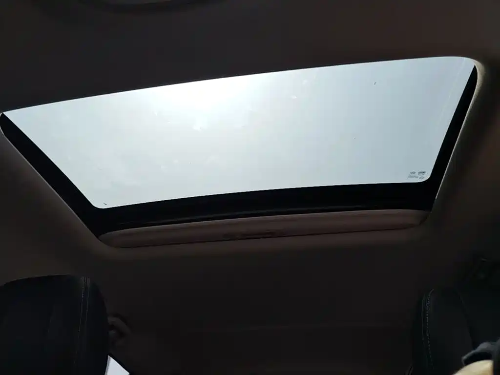 BYD Song MAX New Energy DM 1.5T Connected Supreme Advanced Type 7 seats China VI, фото 18