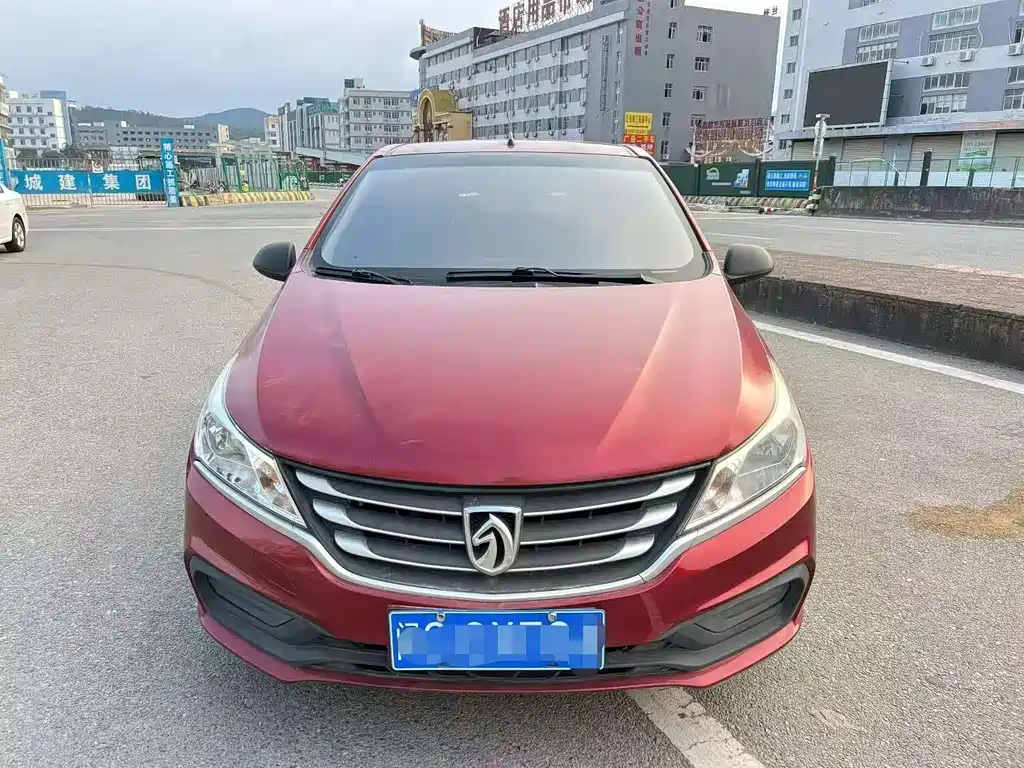 BAOJUN 310