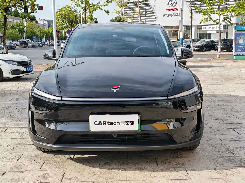 Tesla Model Y — миниатюра 2