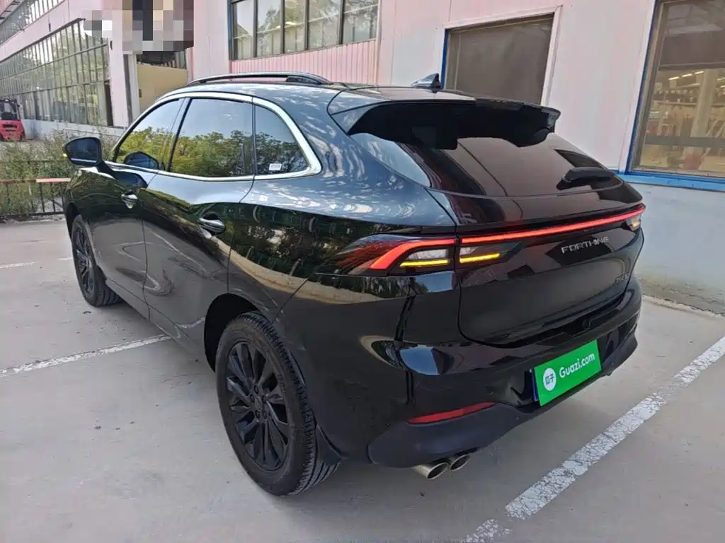 Fengxing Fengxing T5 EVO — миниатюра 23