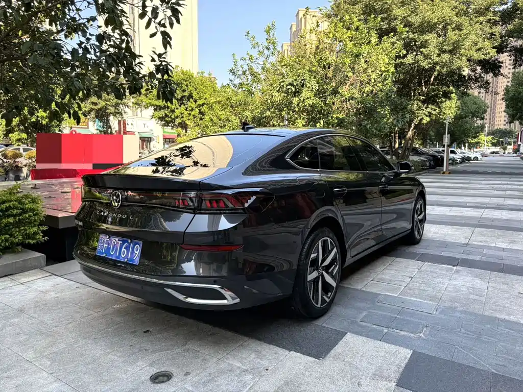 Volkswagen Lamando — миниатюра 6