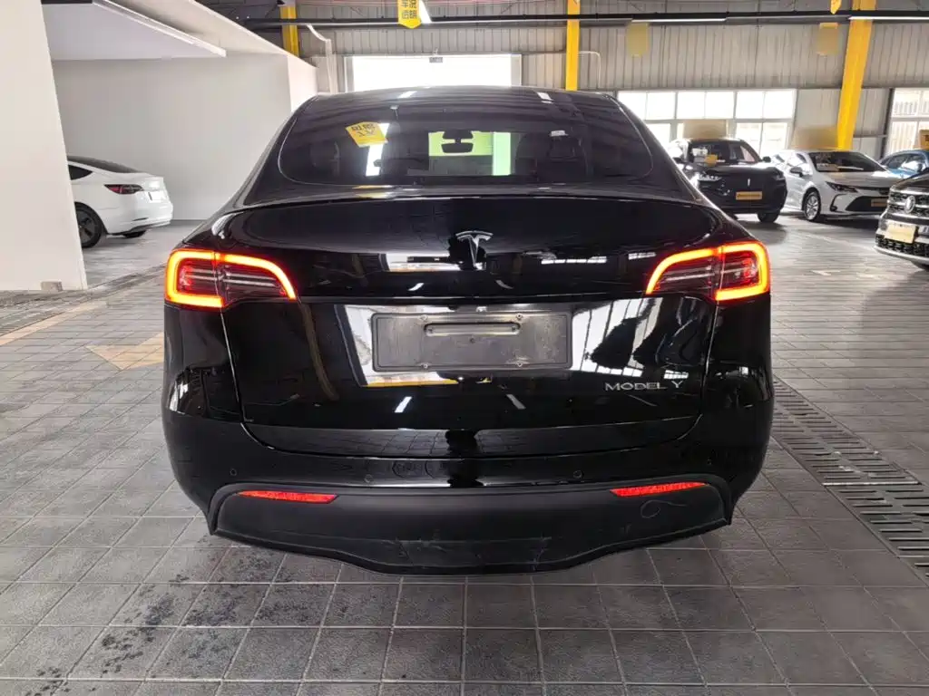 Tesla Model Y — миниатюра 6