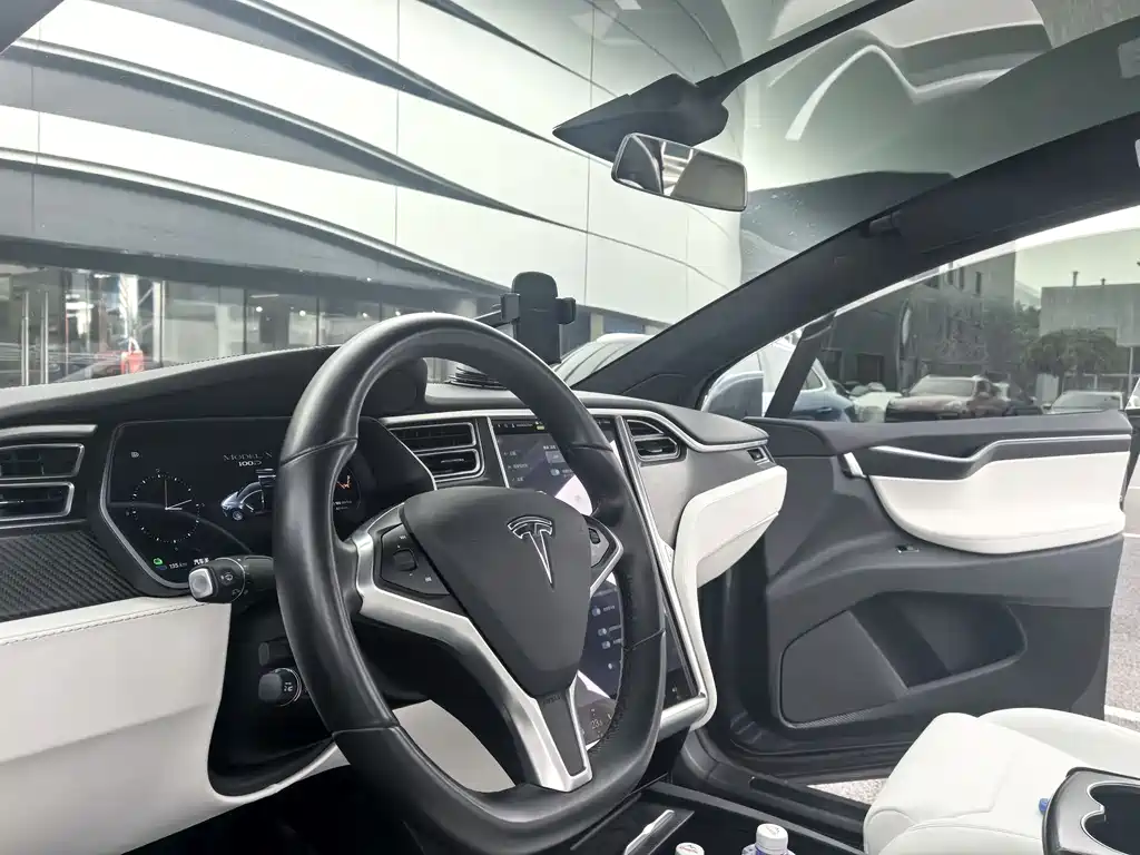 Tesla Model X 2017 Model X 100D