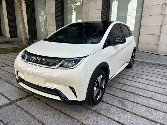 2023 BYD Dolphin