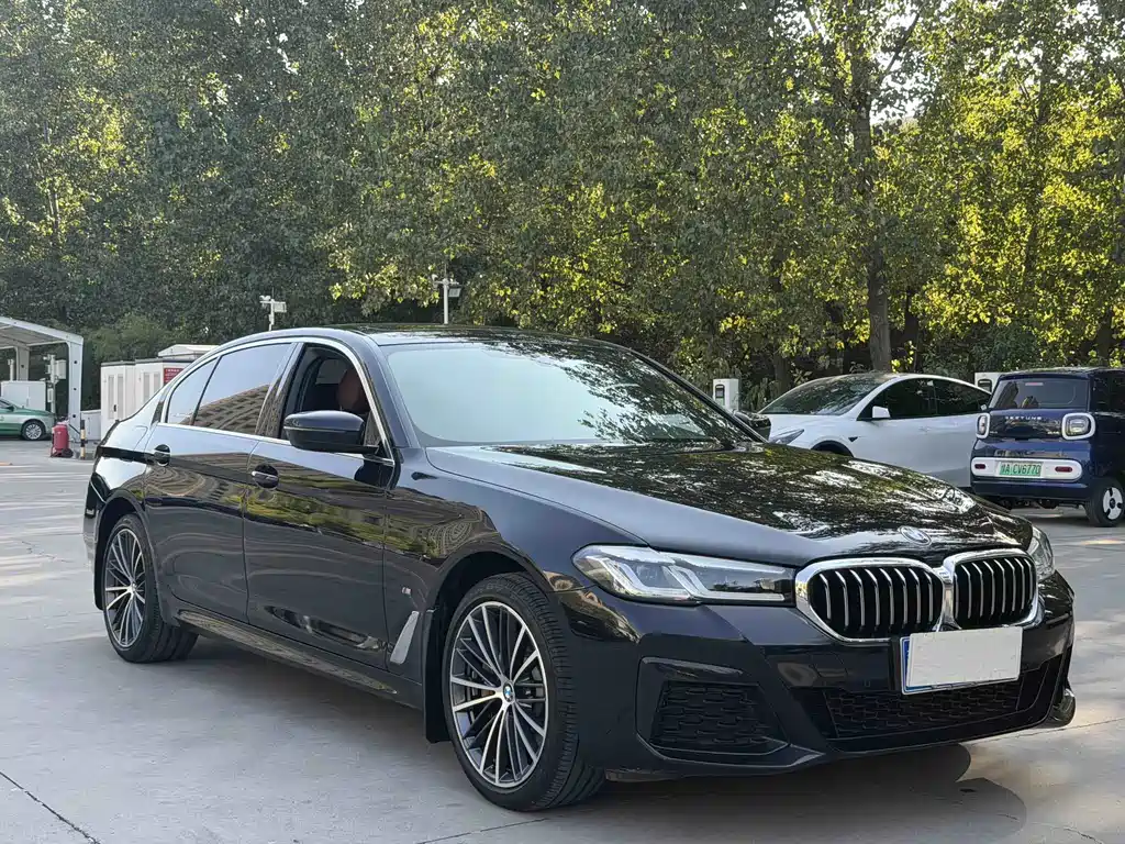 BMW 5 Series — миниатюра 3