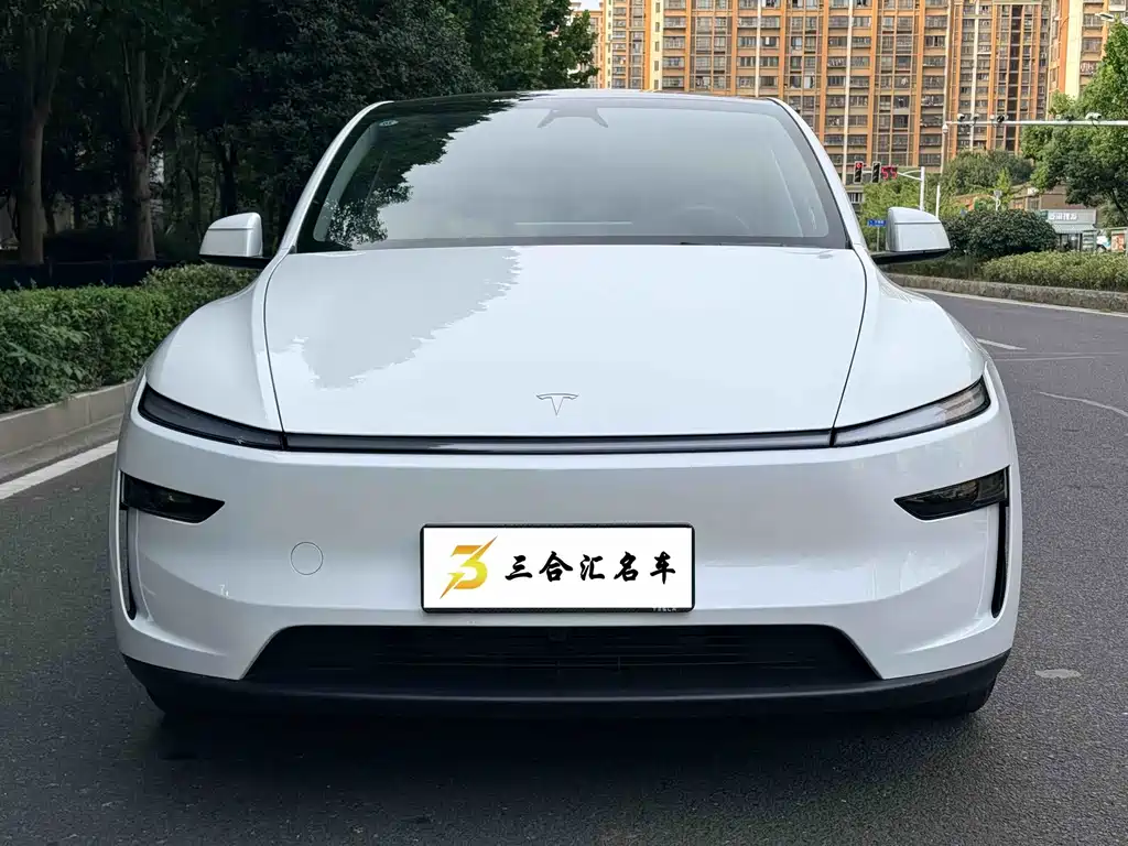 Tesla Model Y — миниатюра 2