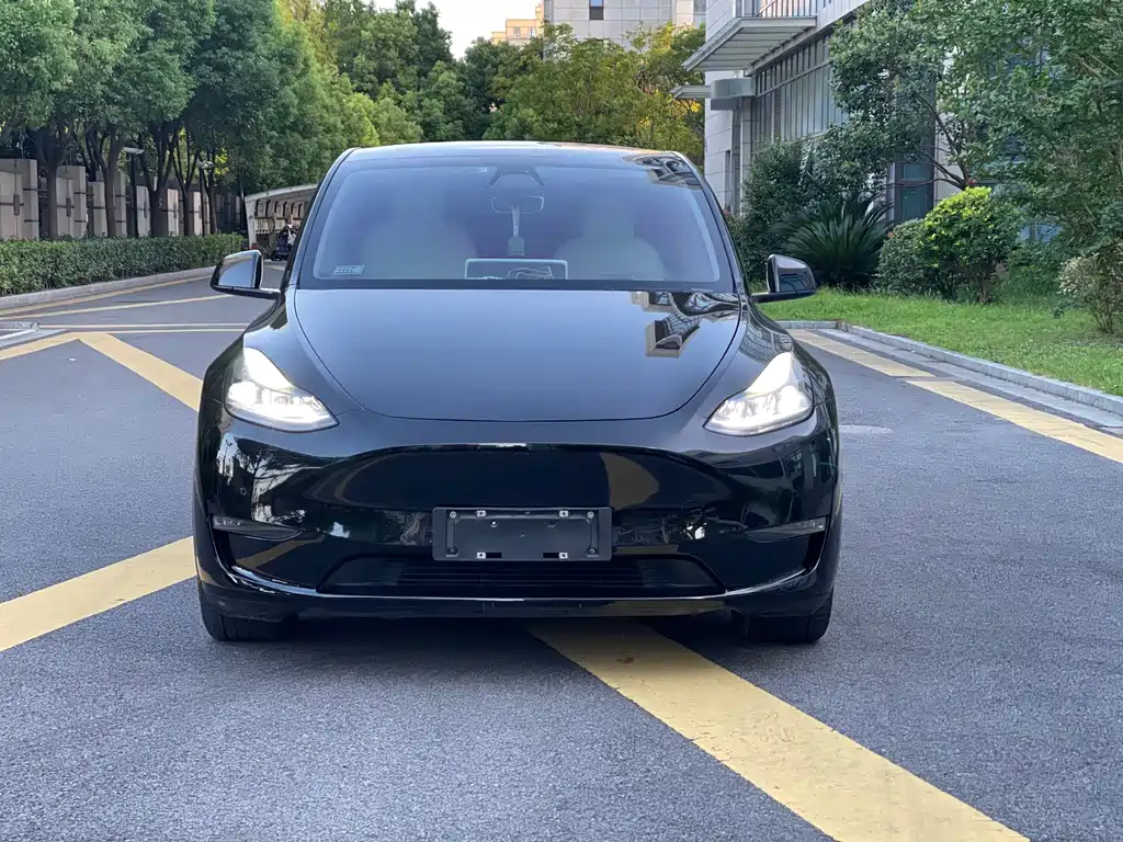 Tesla Model Y — миниатюра 3