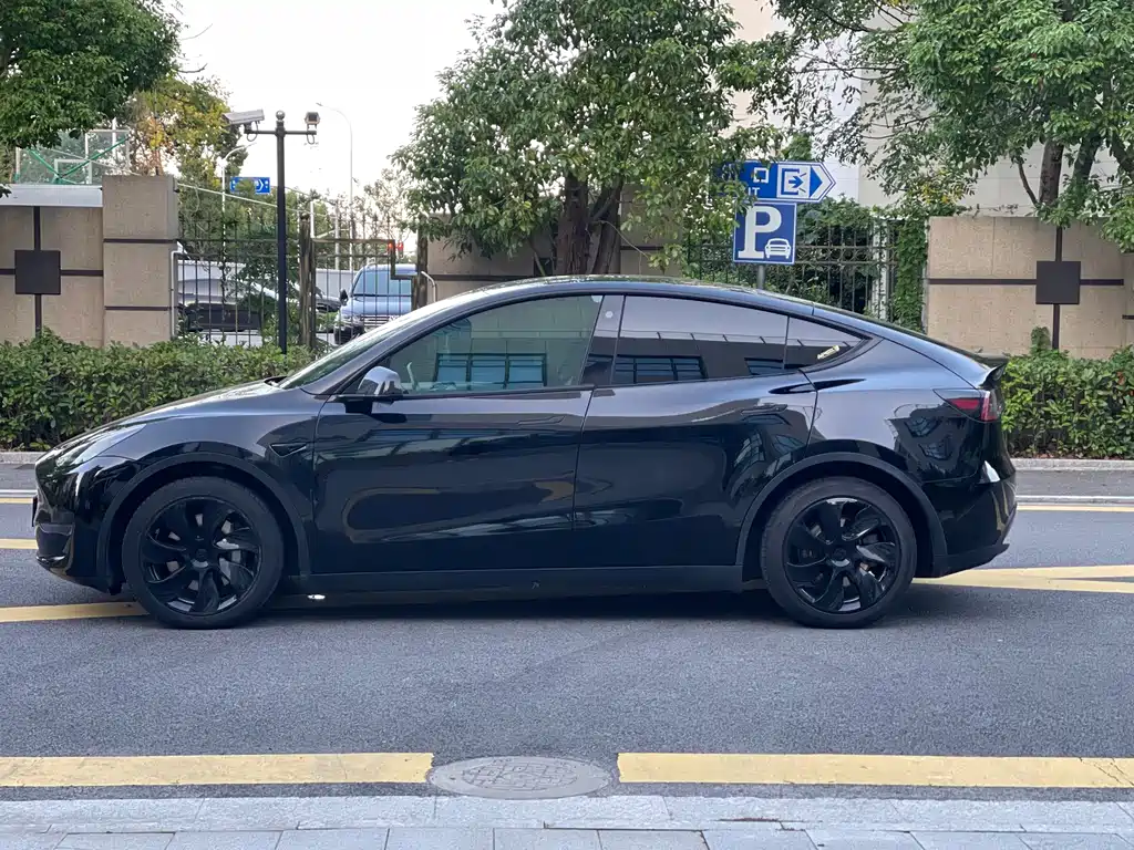 Tesla Model Y — миниатюра 4
