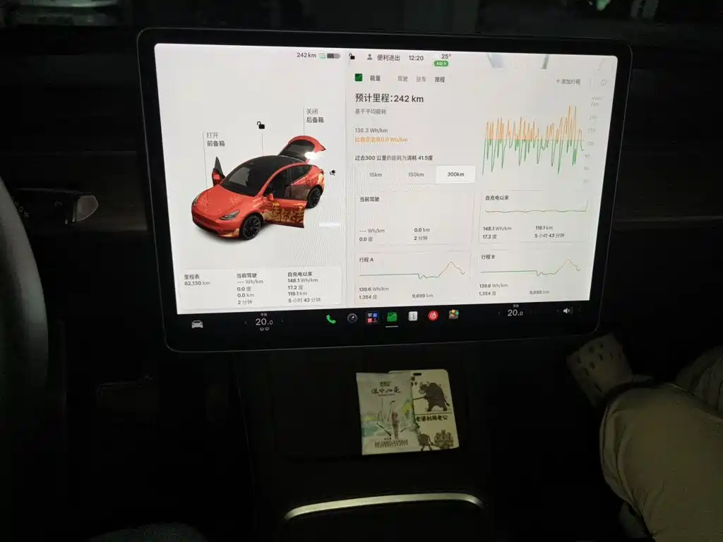 Tesla Model Y — миниатюра 9