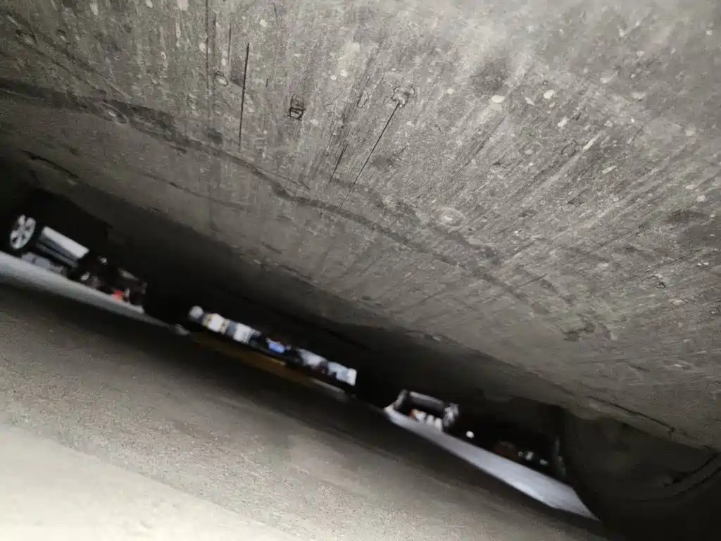 Tesla Model Y — миниатюра 23