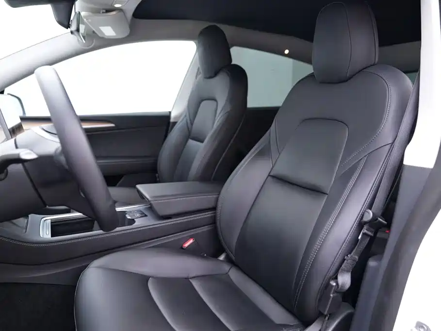 Tesla Model Y — миниатюра 6