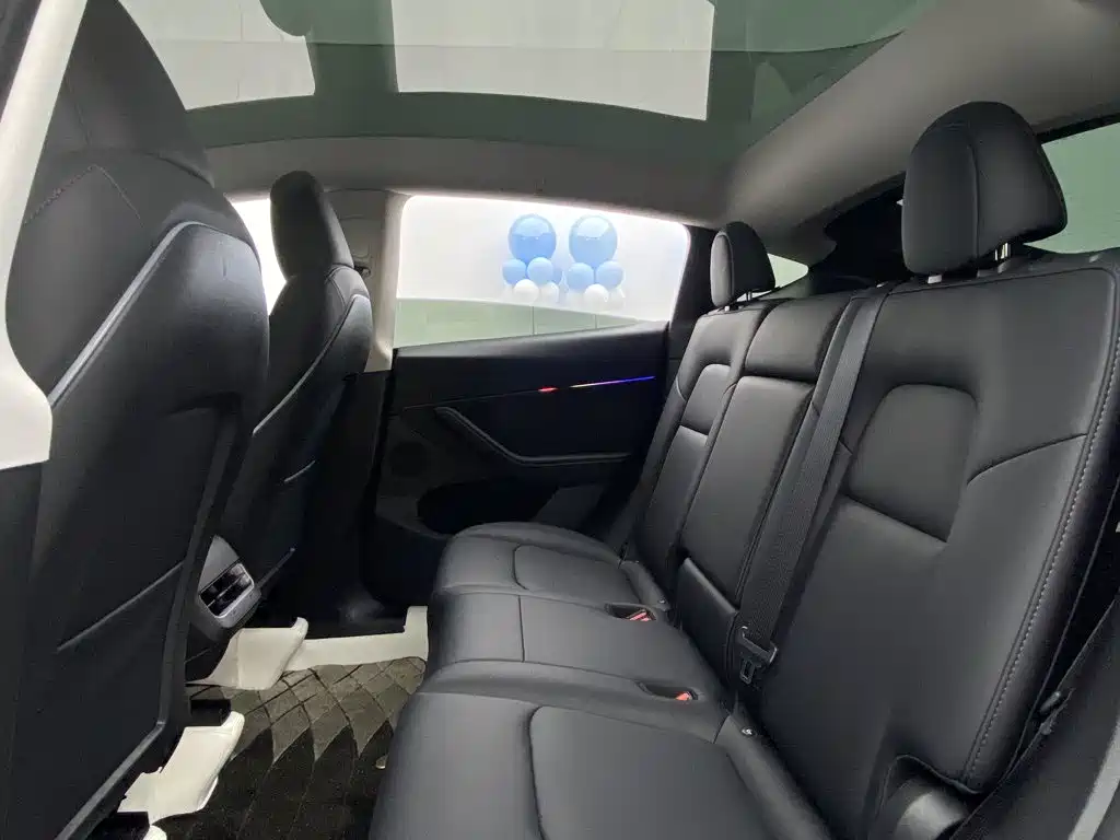 Tesla Model Y — миниатюра 32