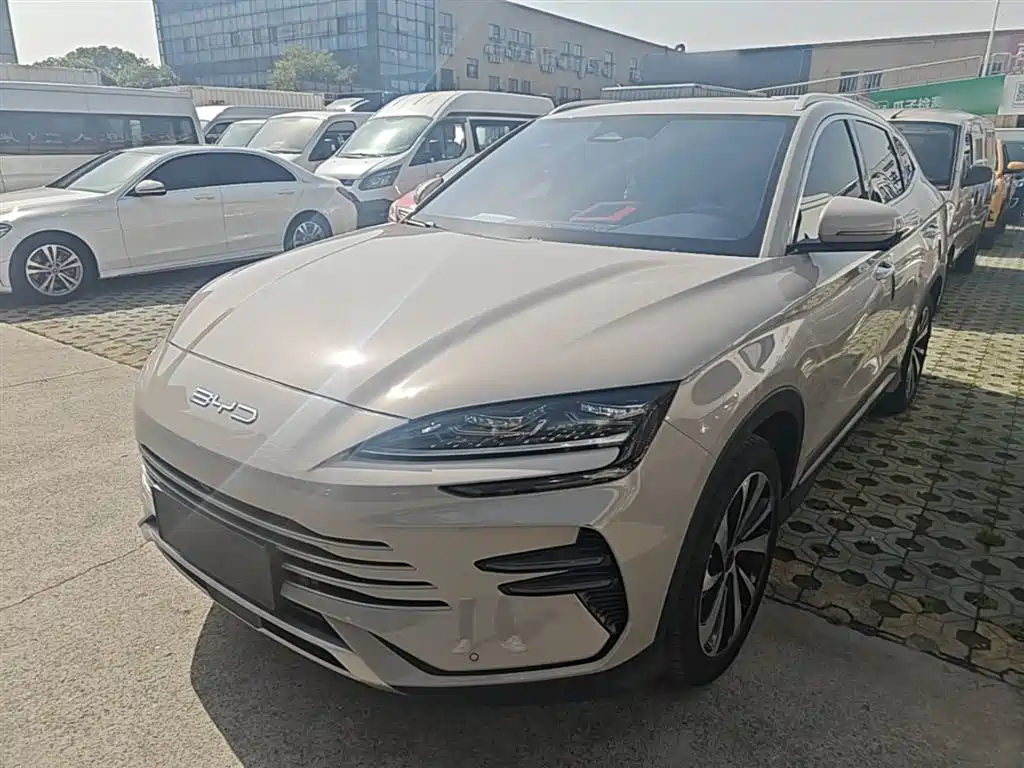 Byd PLUS New Energy 2024