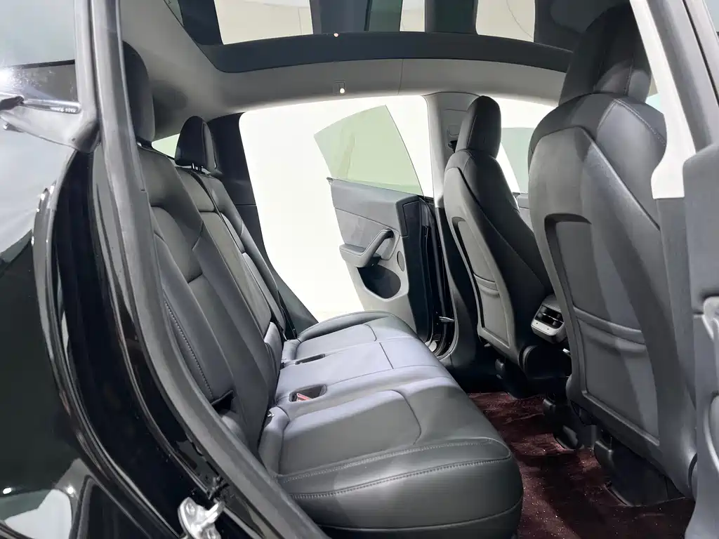 Tesla Model Y — миниатюра 10