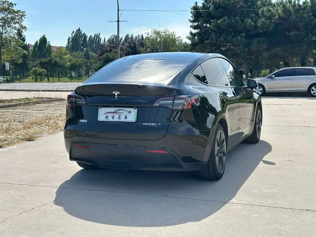 Tesla Model Y — миниатюра 6