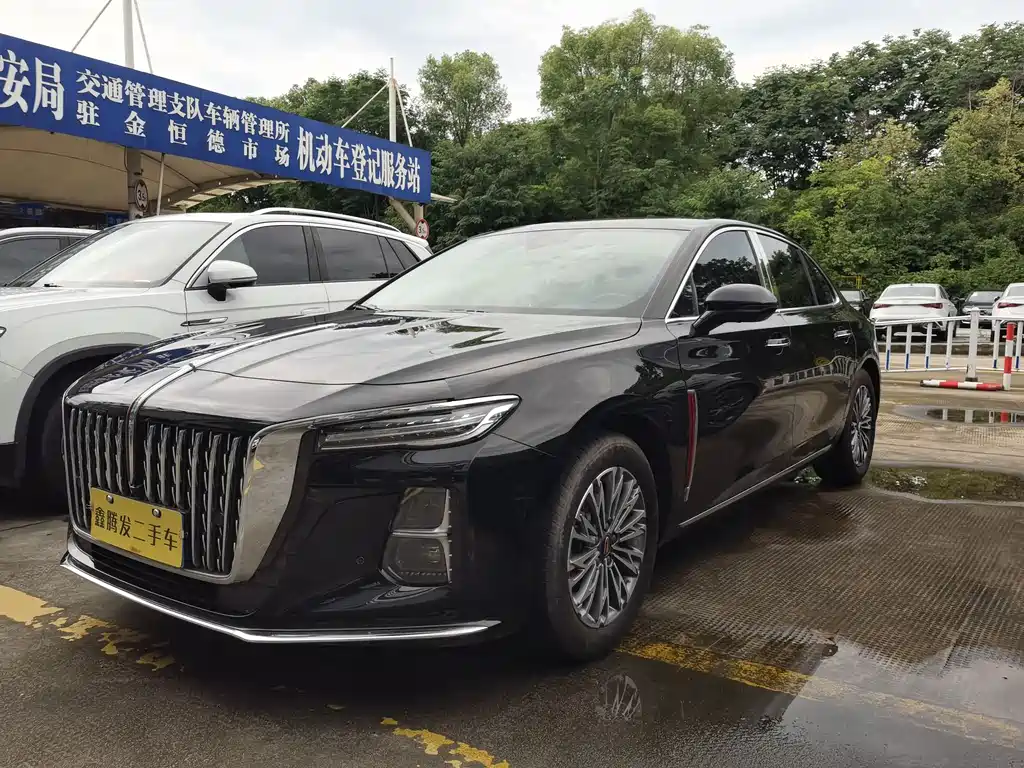 Hongqi H5 2024 2.0T AT