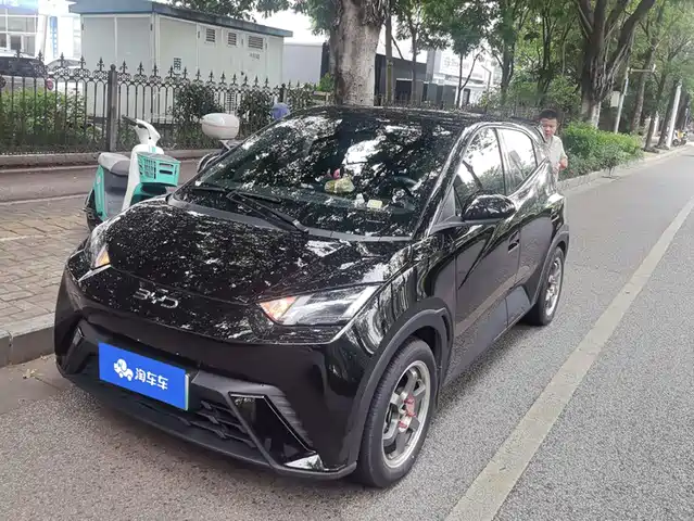 2024 BYD Seagull