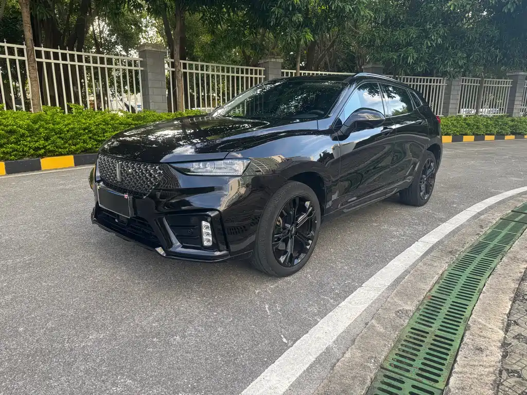 Wey Wey VV7 2019
