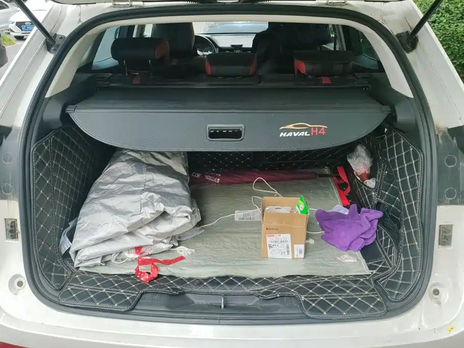 Haval H4 — миниатюра 4