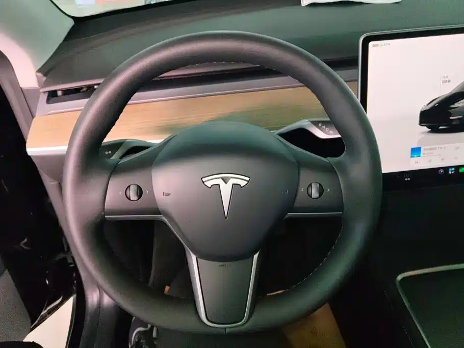 Tesla Model Y — миниатюра 15