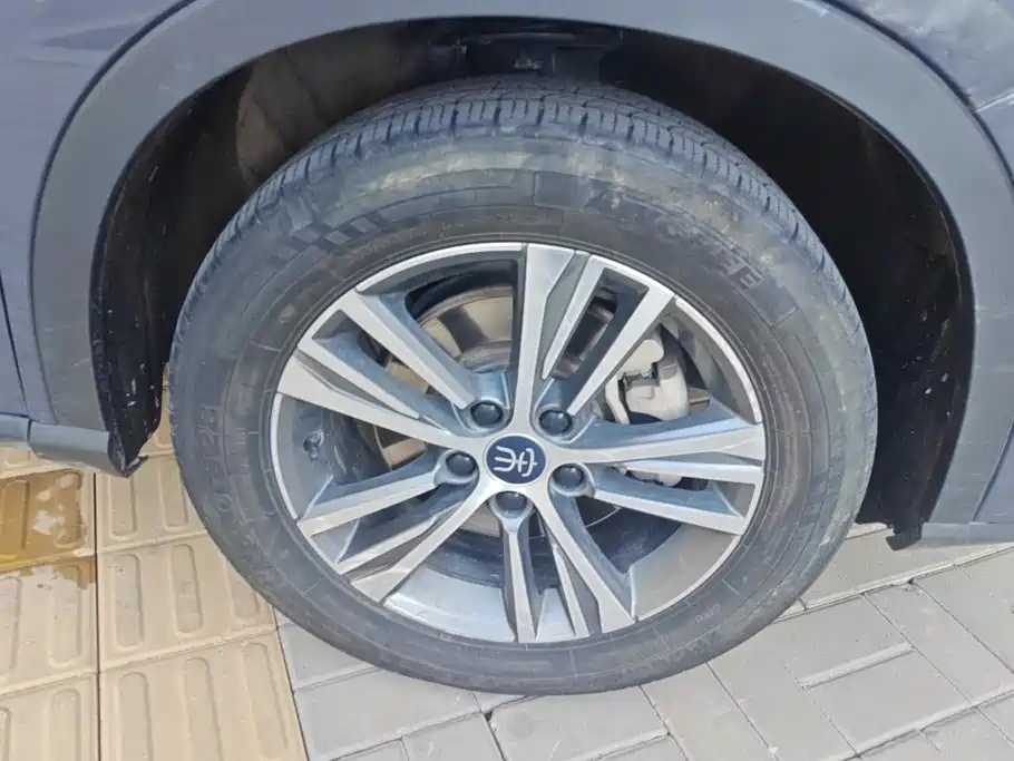 BYD Pro — миниатюра 6