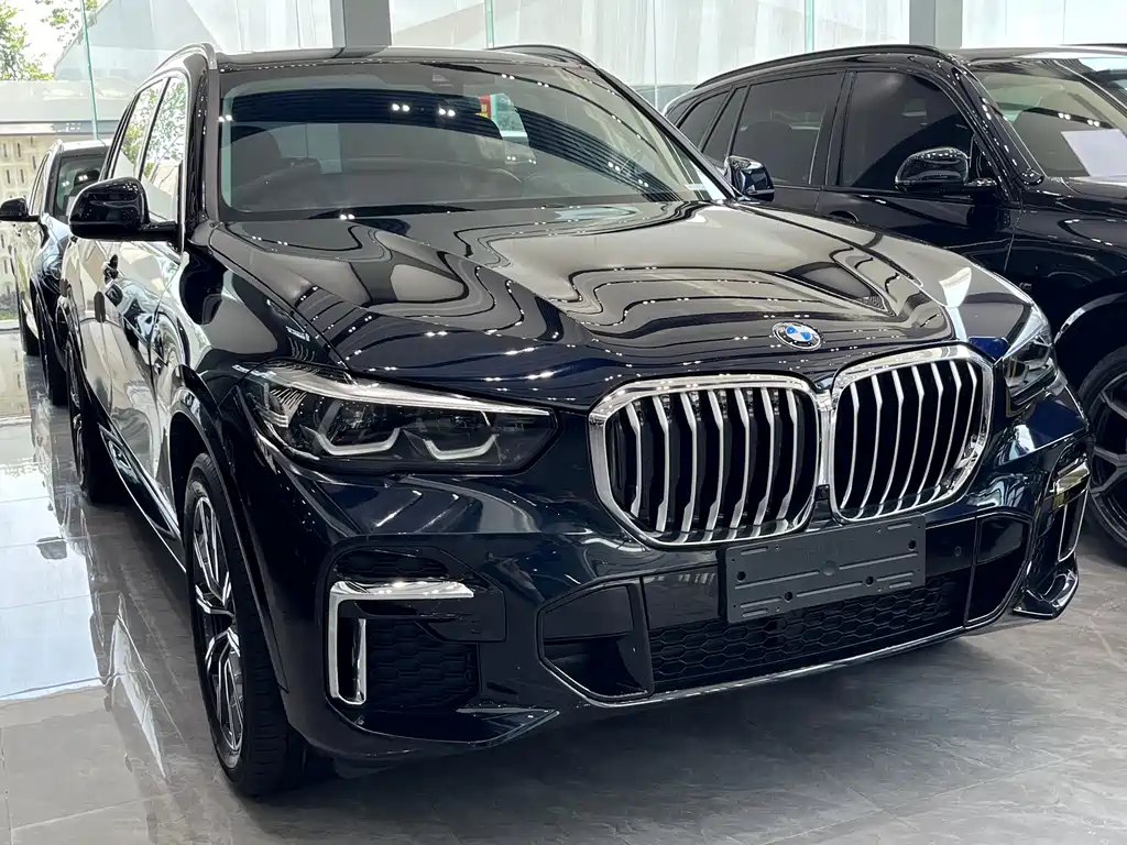 BMW X5 2022 xDrive 30Li M Sport