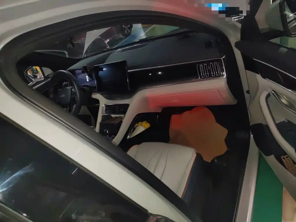 BYD PLUS New Energy — миниатюра 18