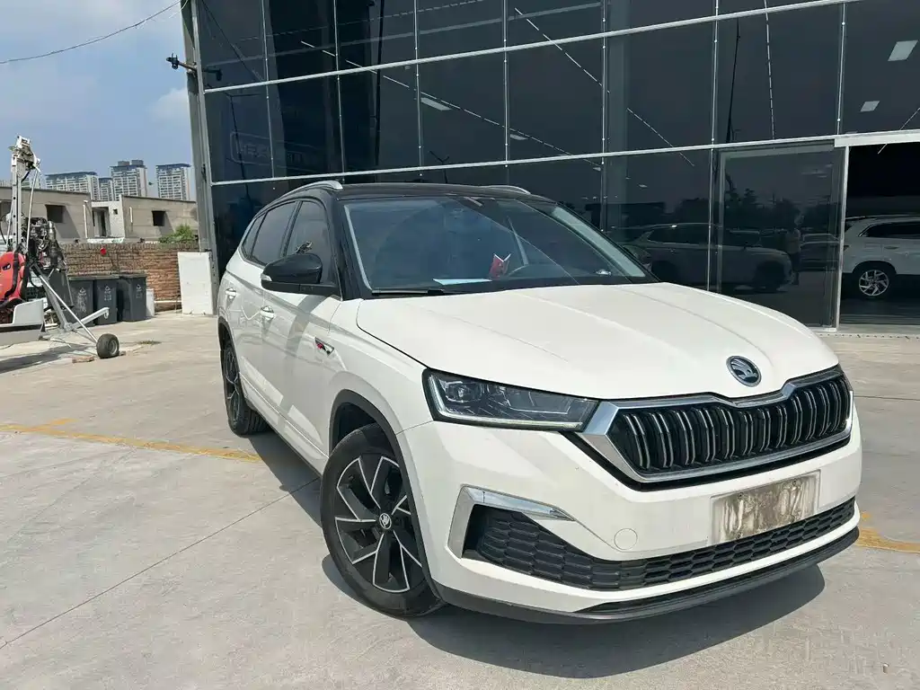 Skoda Kamiq — миниатюра 3