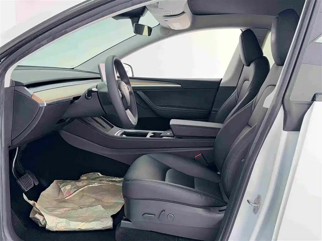 Tesla Model Y — миниатюра 4