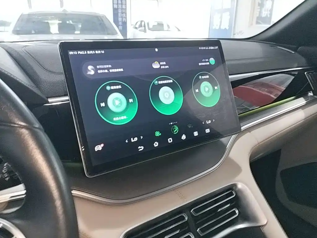 BYD PLUS New Energy — миниатюра 13