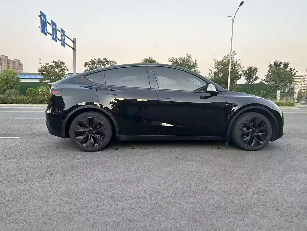 Tesla Model Y — миниатюра 8
