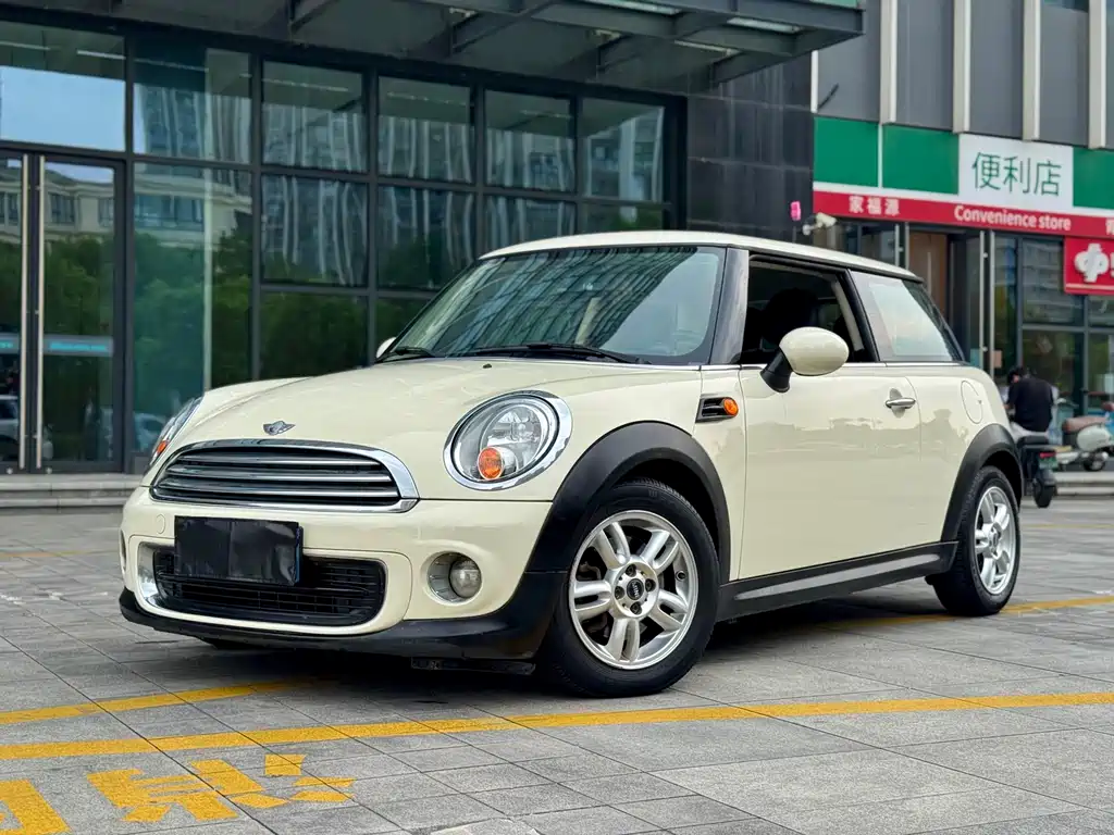 Mini Mini 2013